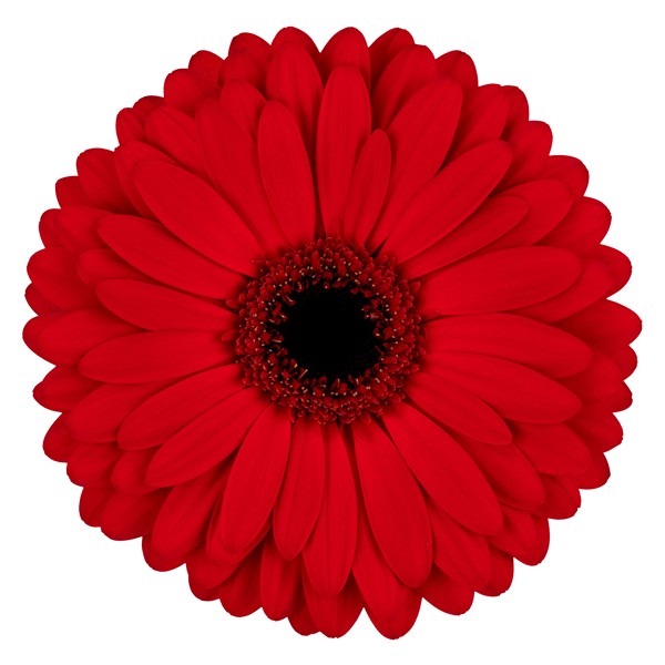 James