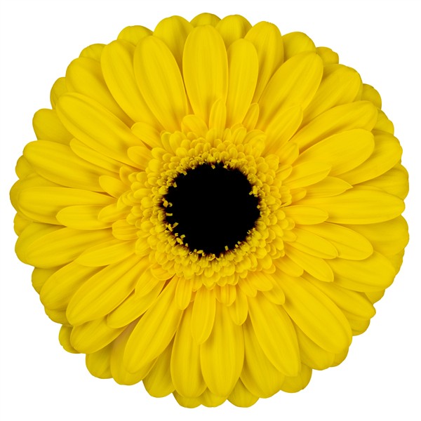 Solana